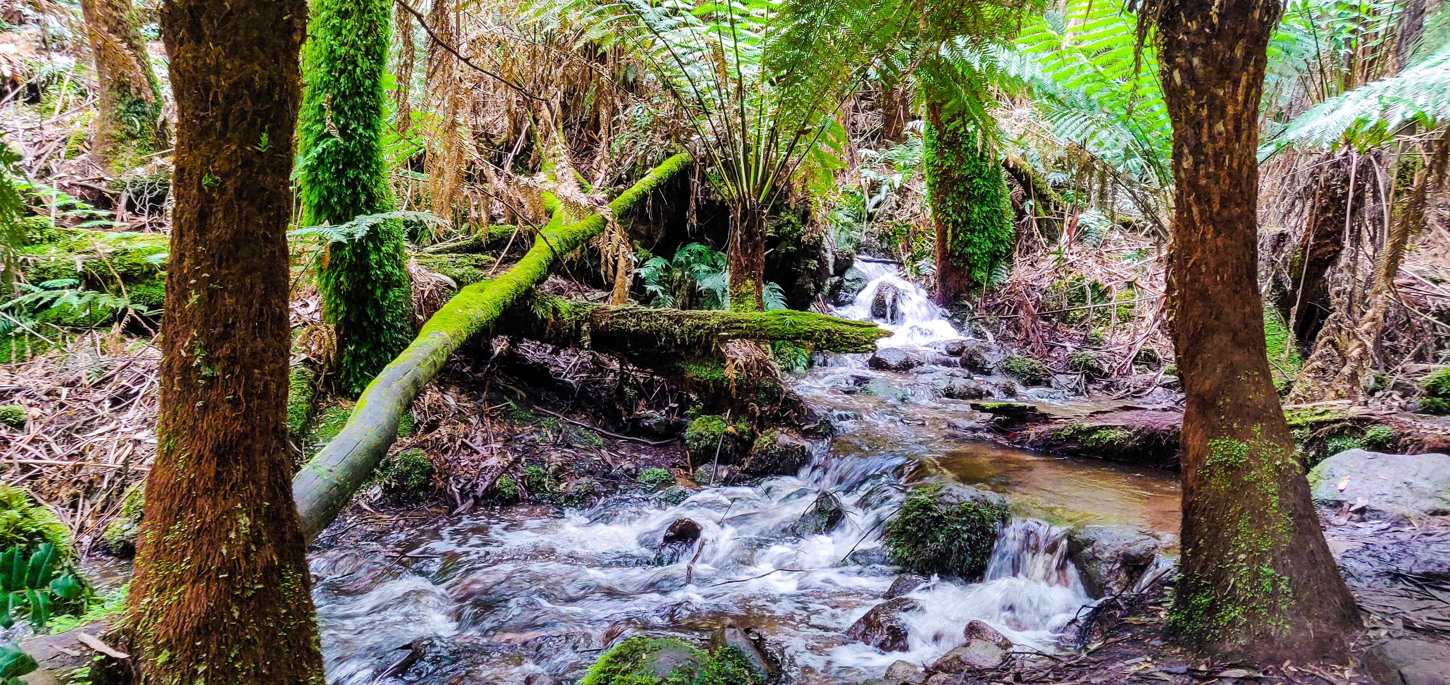 Creek near La La Falls